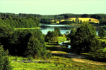 Spływ kajakowy rzeką Zbrzycą